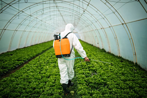 Best Pest Removal Services  in Garretson, SD
