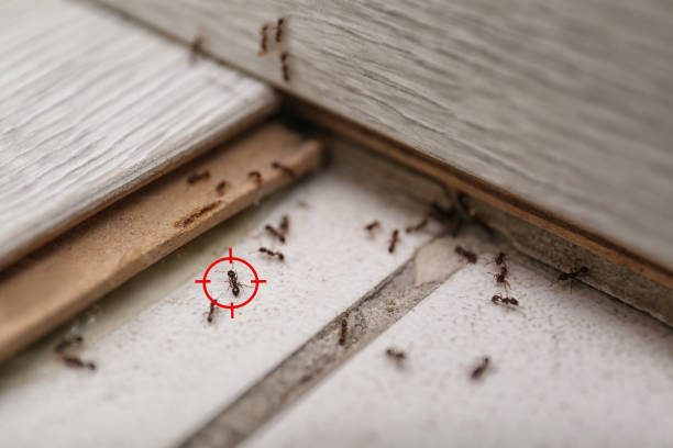 Best Wildlife Control Services  in Garretson, SD