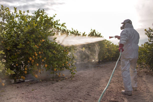 Best Exterminator Services  in Garretson, SD