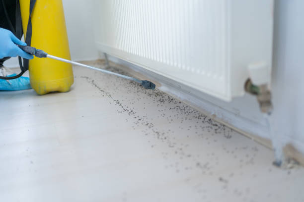Best Pest Prevention Services  in Garretson, SD