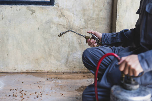 Best Residential Pest Control  in Garretson, SD